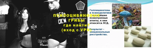 бошки Анжеро-Судженск